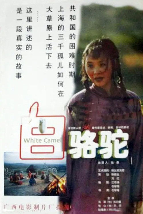 White Camel Poster