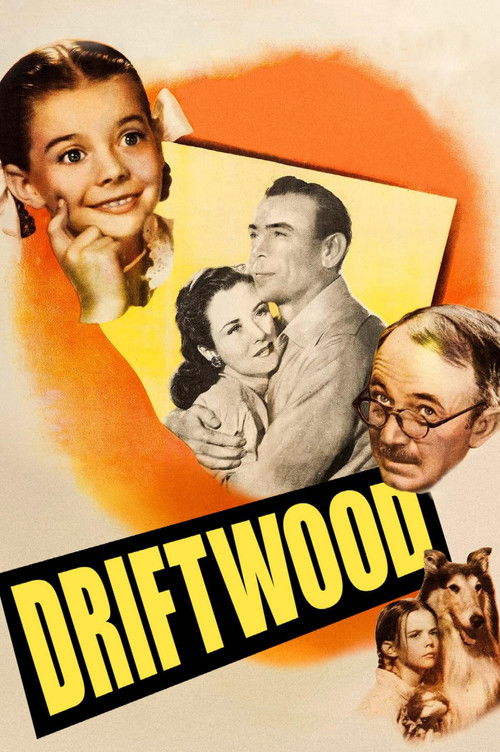 Driftwood Poster