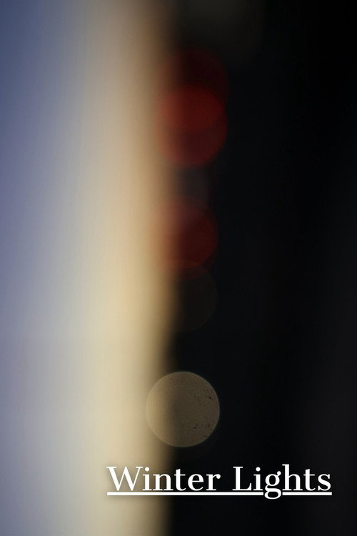 Winter Lights Poster
