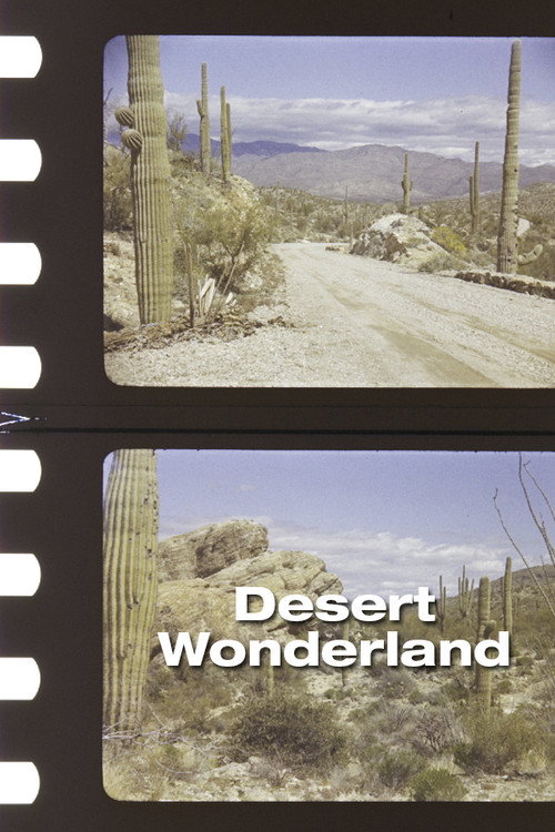 Desert Wonderland Poster