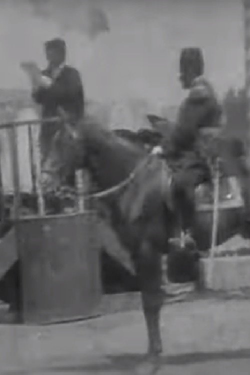 Turks' Hearing Speech on Hürriyet Poster