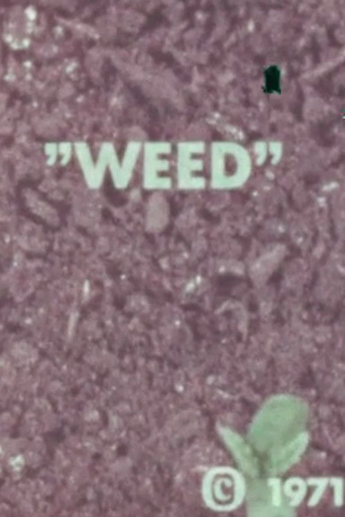 WEED Poster