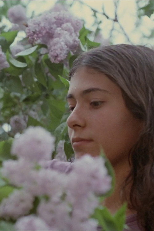 A Little Summermusik Poster