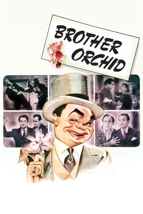 Brother Orchid Poster