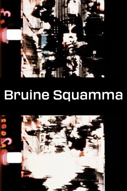 Bruine Squamma Poster