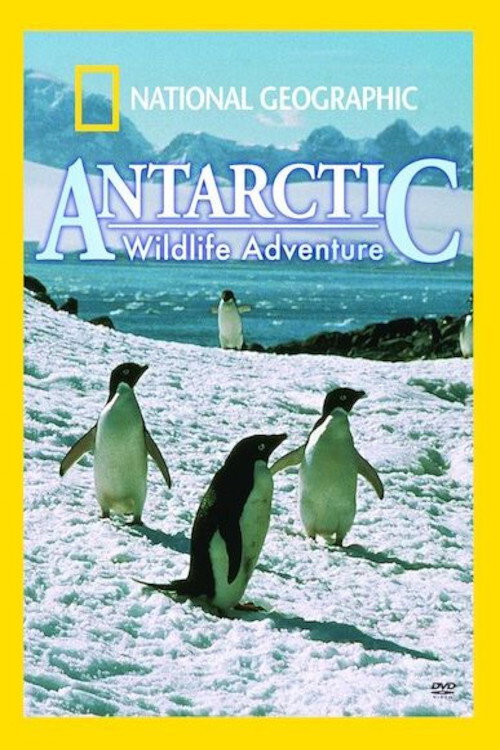 Antarctic Wildlife Adventure Poster
