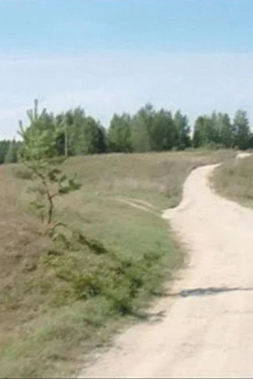 Europa 54 54′-25 19′ Poster