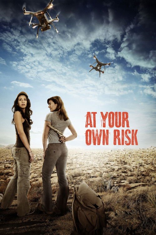 At Your Own Risk Poster