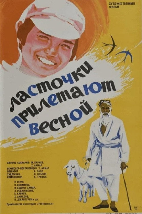 Swallows Arrive in Spring Poster