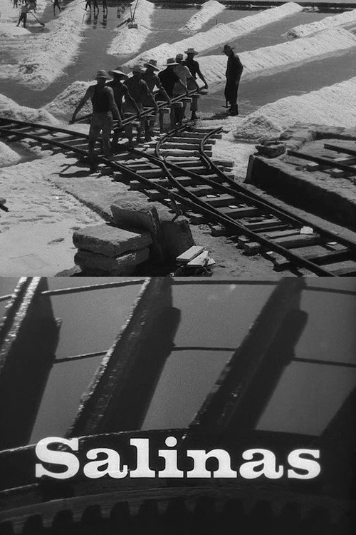 Salinas Poster