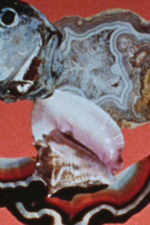 The Light Fantastic Picture Show Poster