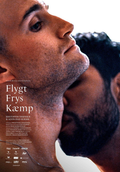 Flight Freeze Fight Poster