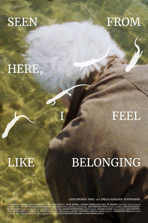 Seen From Here, I Feel Like Belonging Poster