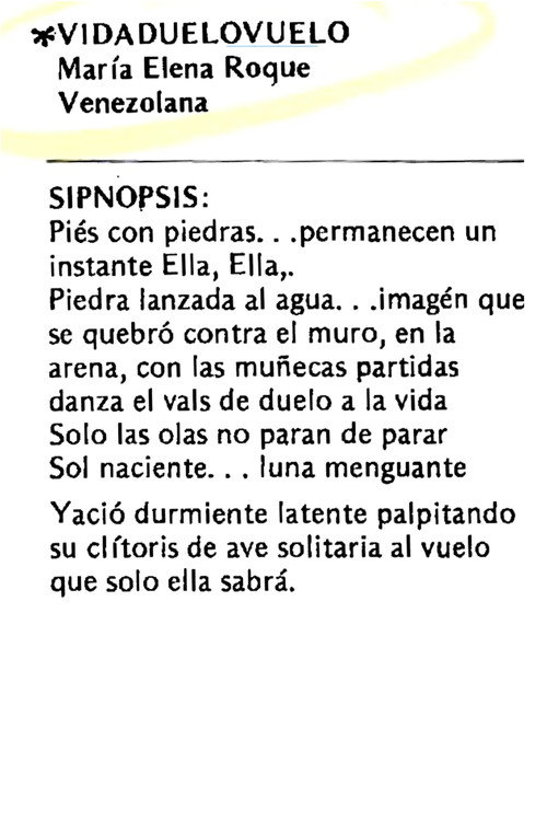 Vidaduelovuelo Poster