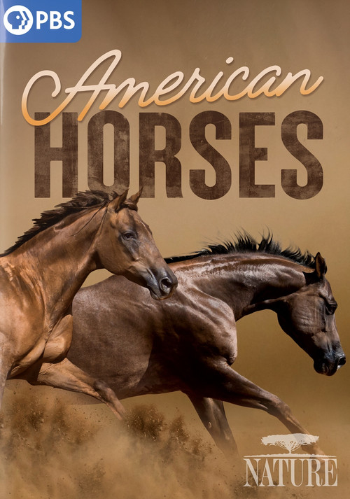 American Horses Poster