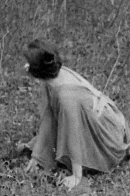 The Magic of Spring Poster