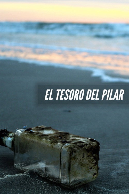 El tesoro del Pilar Poster