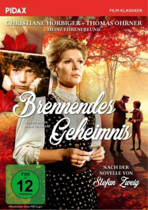 Brennendes Geheimnis Poster