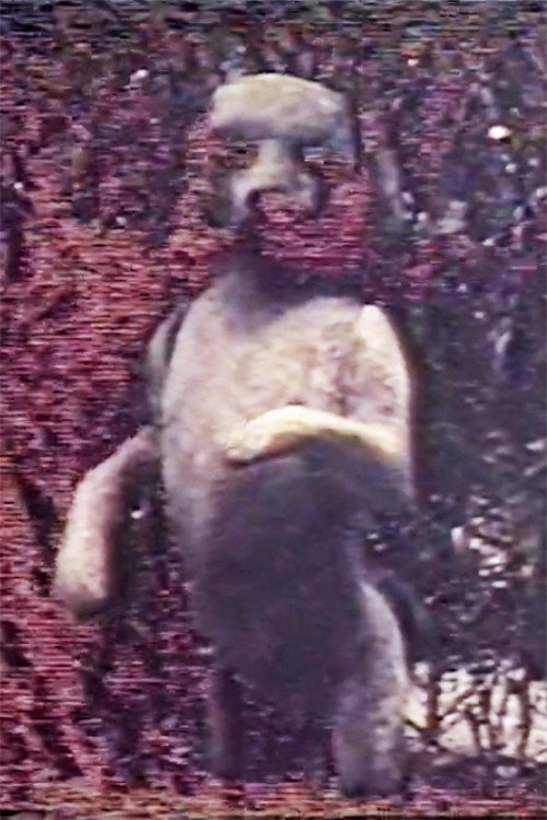 Une Passagère Poster