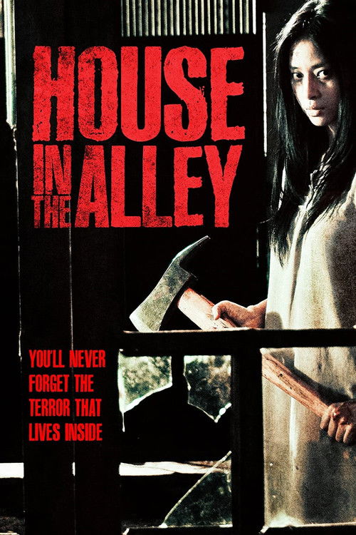 House in the Alley Poster