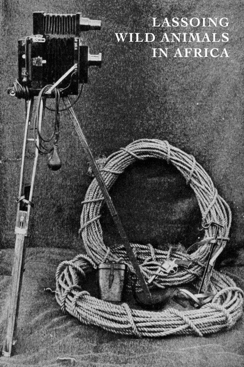 Lassoing Wild Animals in Africa Poster