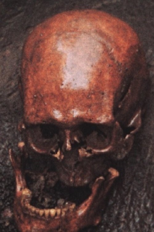 Archaeological Excavations at Skálholt in 1954 Poster