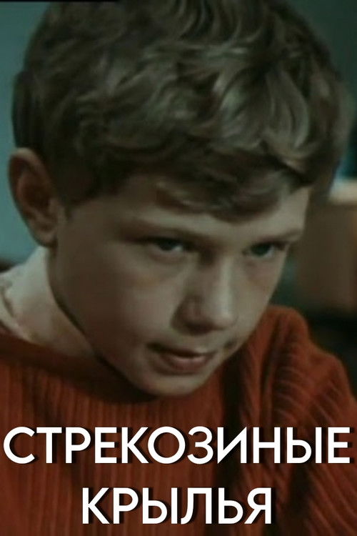 Dragonfly Wings Poster