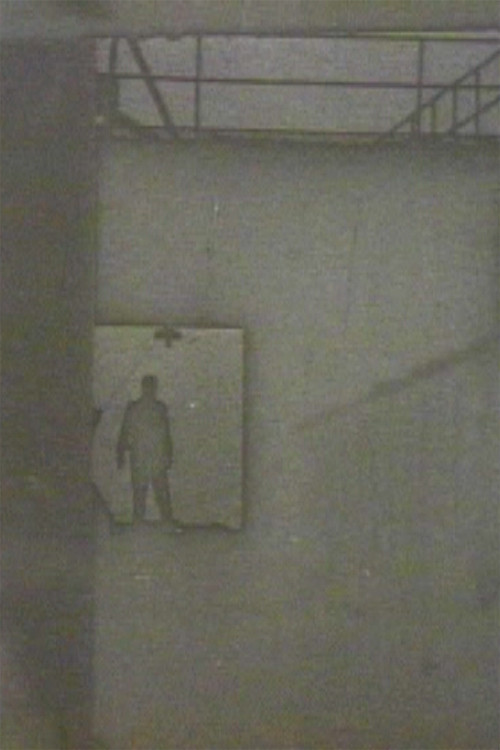 Copyright 1980 Poster