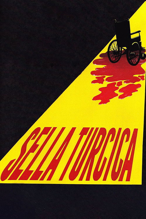 Sella Turcica Poster
