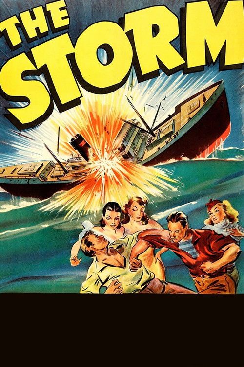 The Storm Poster