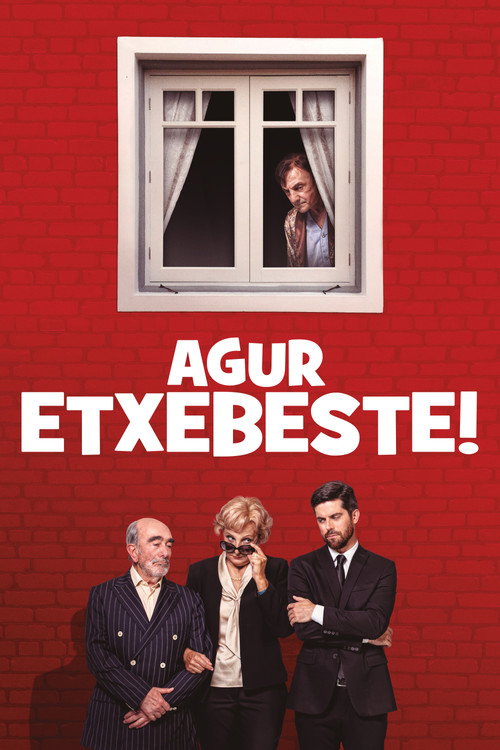 Bye Bye Mr. Etxebeste! Poster