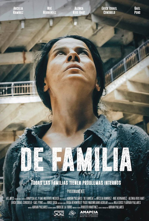 About Family Poster