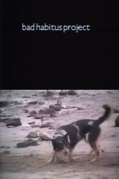 Bad Habitus Project Poster