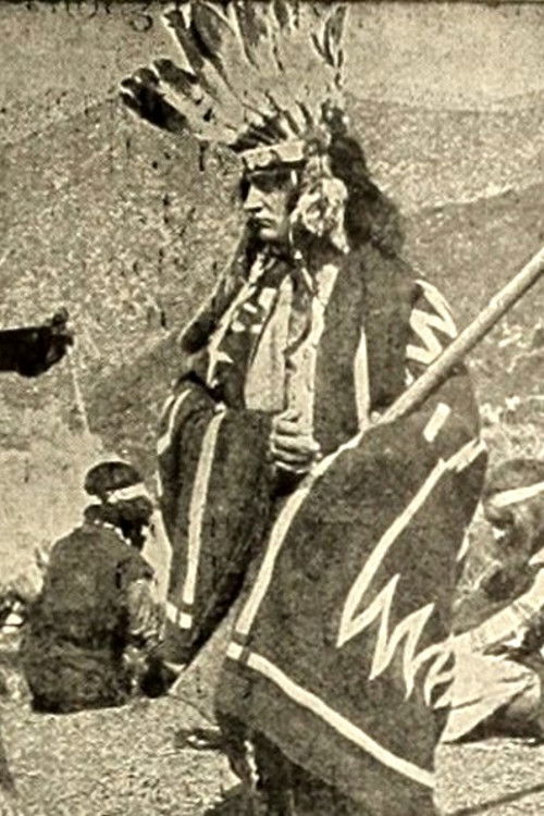 The Indian Brothers Poster