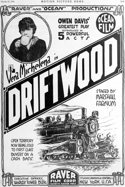 Driftwood Poster