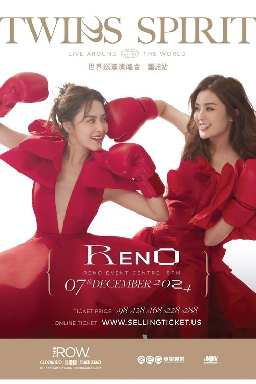 Twins SPIRIT Since 2001 Live 2024 Poster