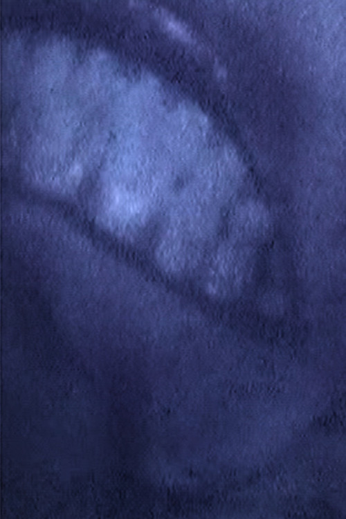 NOTHING GOSE Poster