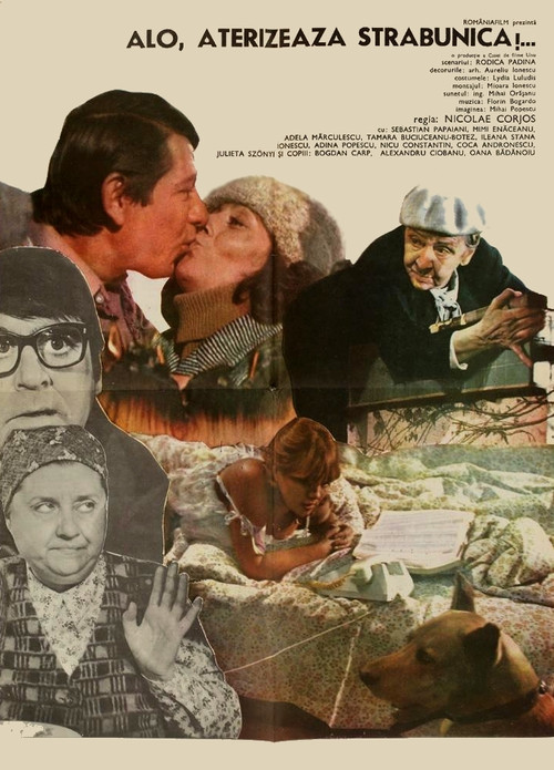 Hello, Greatgranny Is Landing! Poster