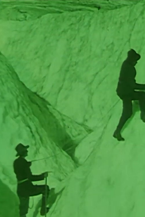 Amid the Lovely Swiss Alps Poster