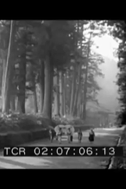 Nikkô Temples, Kyoto, Japan Poster