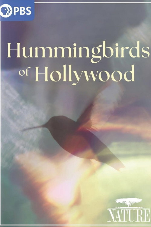 Hummingbirds of Hollywood Poster