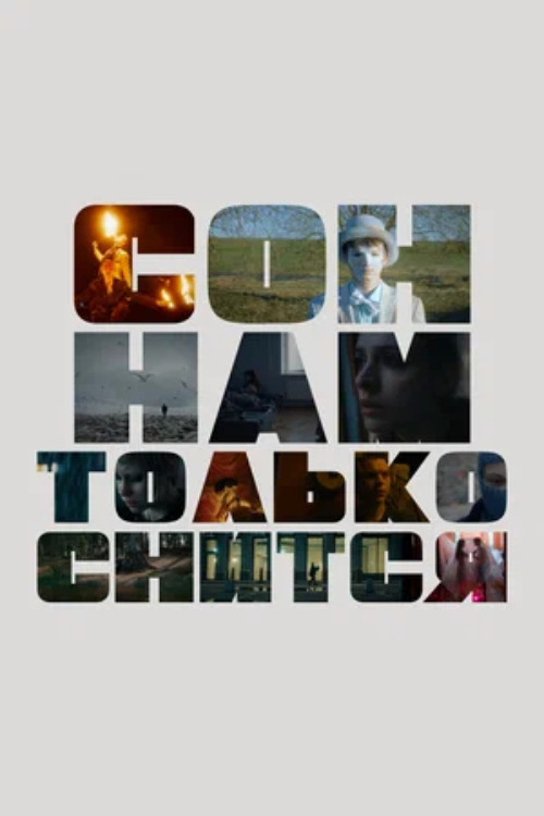 We Are Only Dreaming Poster