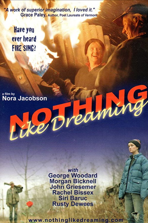 Nothing Like Dreaming Poster