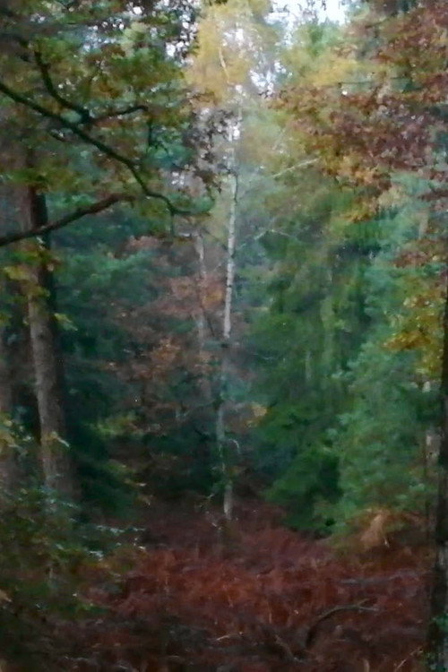 Mes indésirables Poster