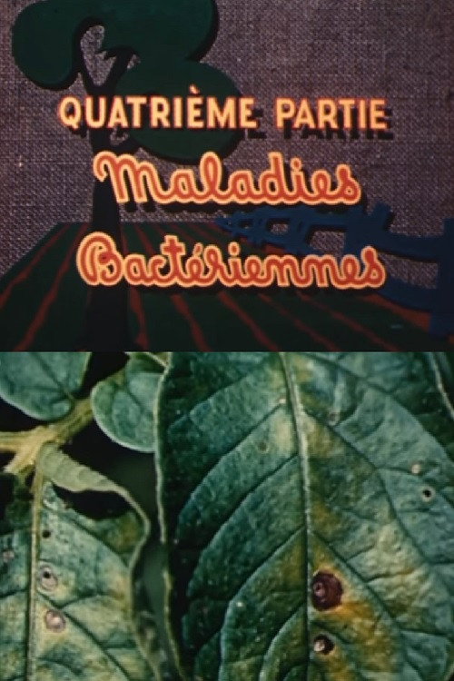 The Enemies of the Potato: Bacterial Diseases Poster