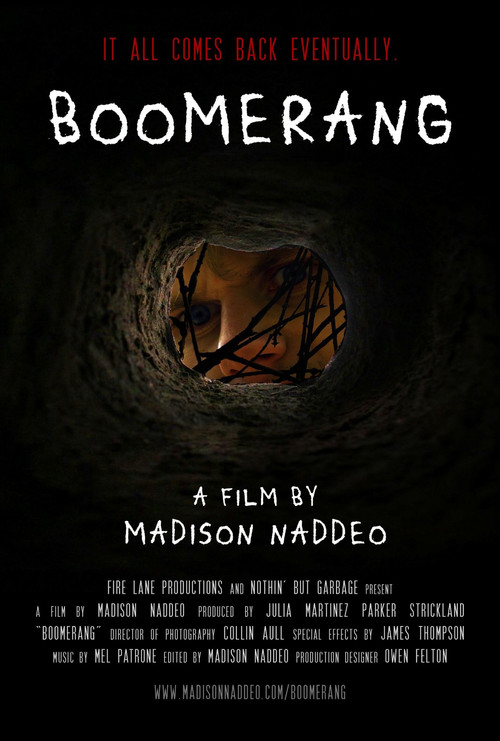 Boomerang Poster