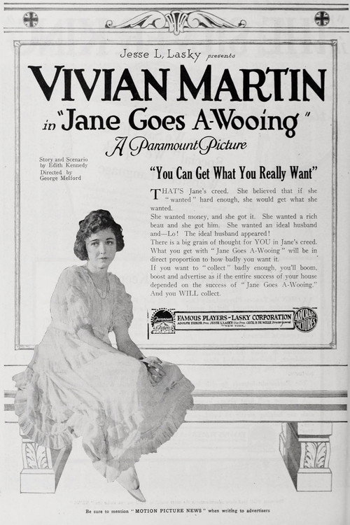 Jane Goes A-Wooing Poster