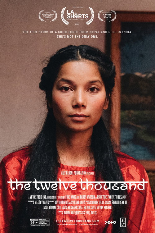The Twelve Thousand Poster
