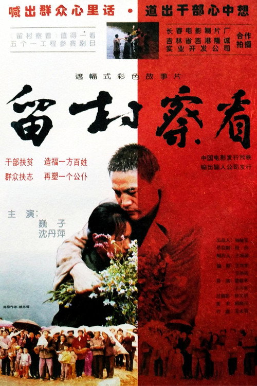 留村察看 Poster