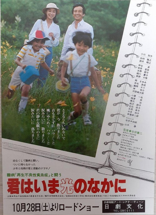 Fighting Against The Incurable Disease Aplastic Anemia – Now You Are In The Light Poster